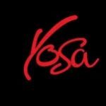 Youth Orchestras of San Antonio (YOSA)